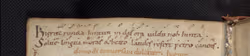codex/Hirsch_und_Hinde/ms.8860-67. Bl.15v.png
